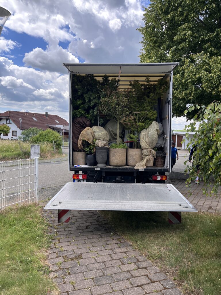 Geöffneter Umzugs-LKW mit ausgefahrener Ladebordwand, dicht beladen mit großen Topfpflanzen und Bäumen, geparkt in einer Wohnstraße vor Einfamilienhäusern.